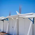 Apartment Molo Roof: Stylish Marina View Penthouse In