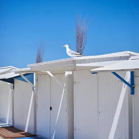 Appartement Molo Roof - Stylish Penthouse With Marina View Within Walking Distance From The Sea - 15 Km From Bruges
