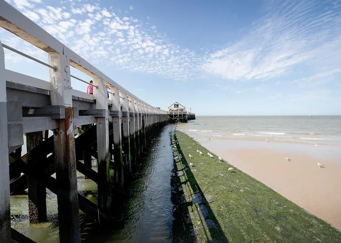 Molo Roof - Stylish Penthouse With Marina View Within Walking Distance From The Sea - 15 Km From Bruges *
