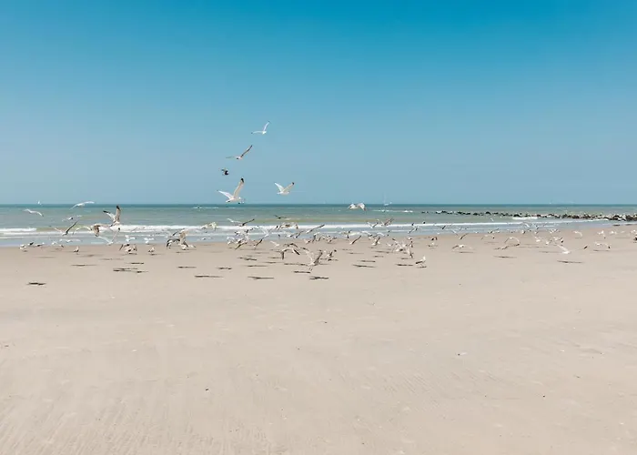 Molo Roof - Stylish Penthouse With Marina View Within Walking Distance From The Sea - 15 Km From Bruges בלנקנברג